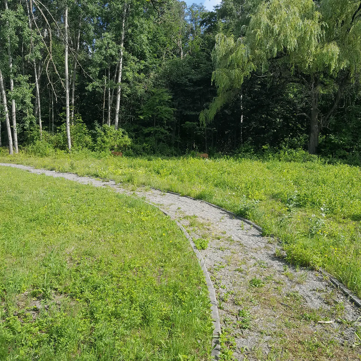 zdjecie z realizacji pracy firmy Rombruk