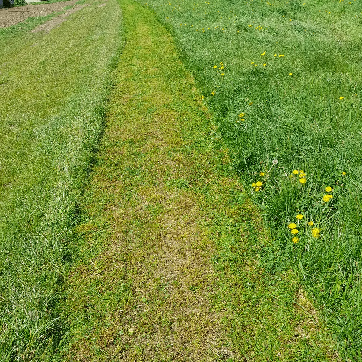 zdjecie z realizacji pracy firmy Rombruk